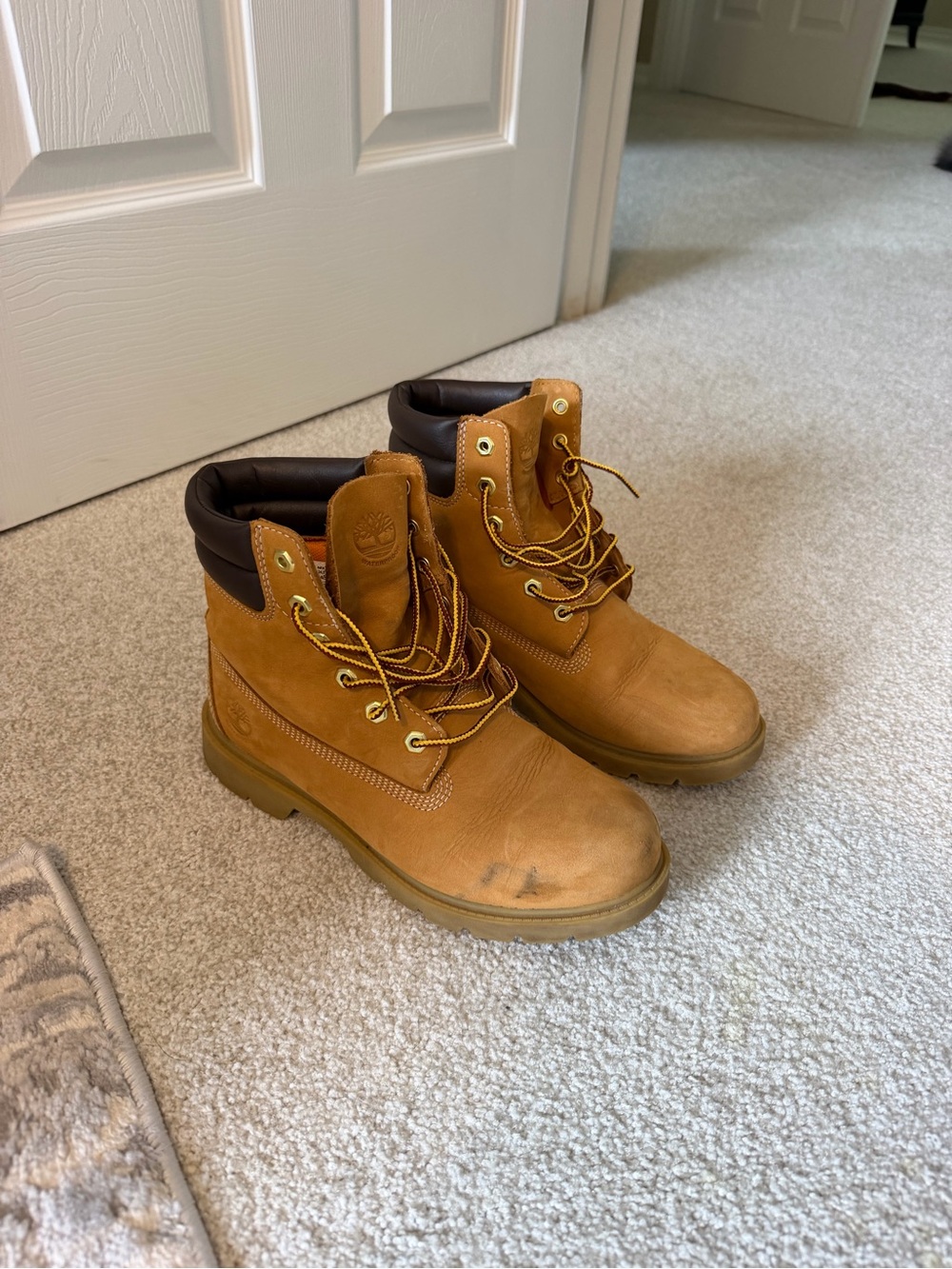 Timberland boots (worn once, not cleaned top from dust?)
